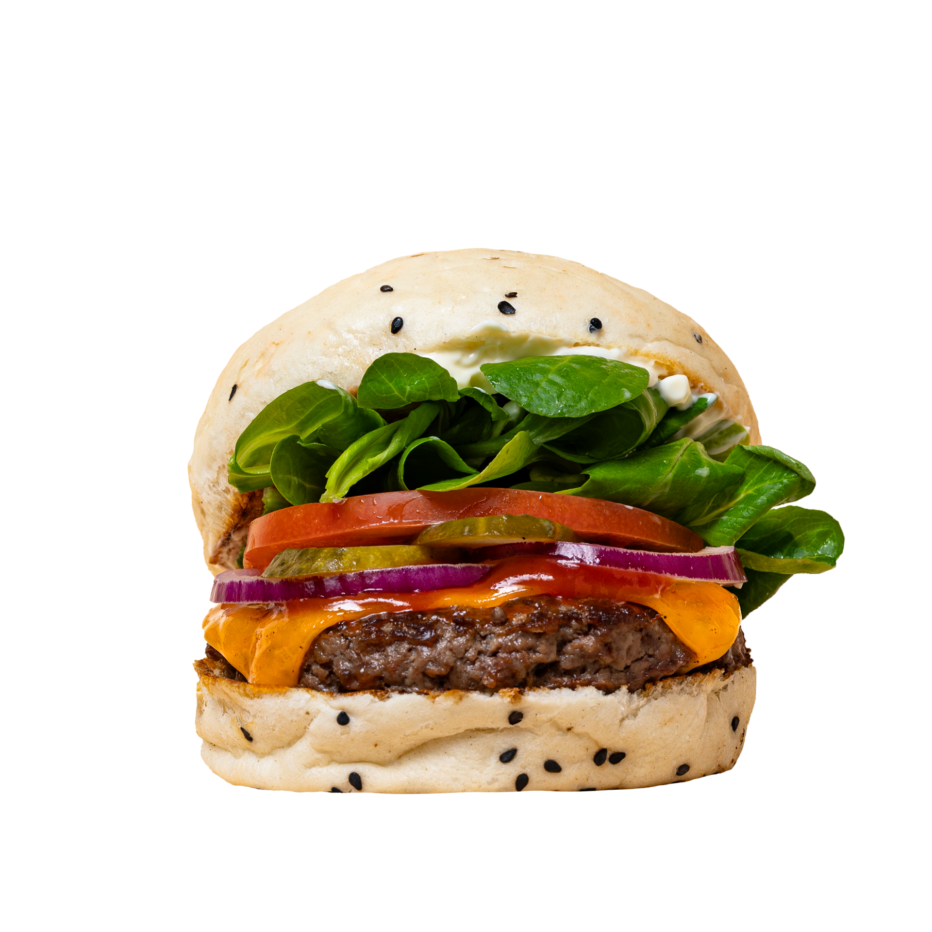 Hamburger